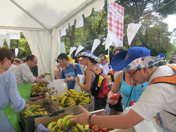 Reparto De Frutas En La JMJ
