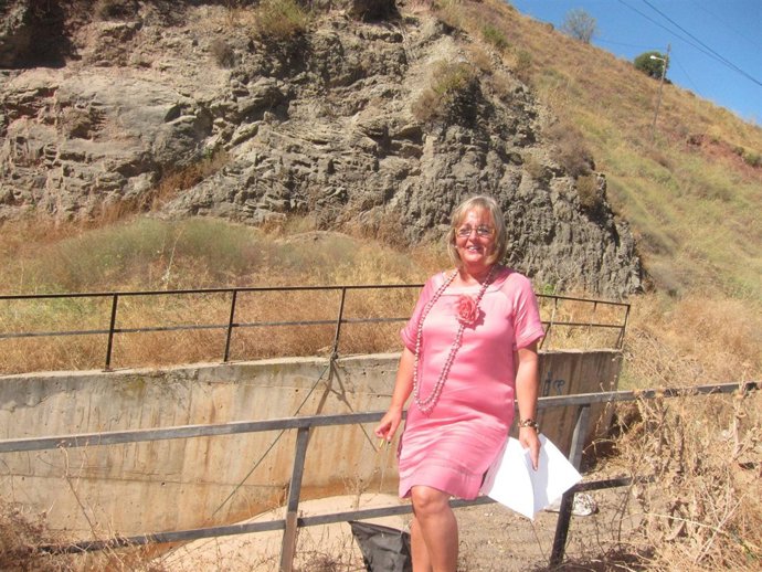 Teresa Porras Visitando Los Trabajos De Limpieza Del Arroyo De La Palma
