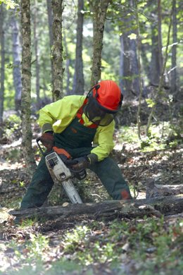 Uno De Los Trabajadores Del Taller