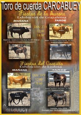 Cartel Del Toro De Cuerda De Carcabuey