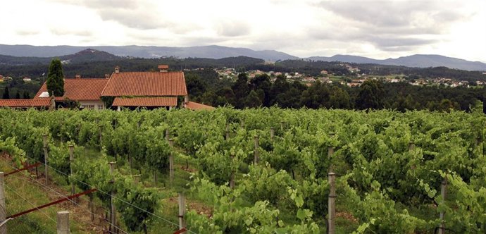 La Bodega Viña Nora.