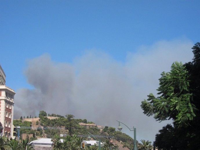 Incendio En Los Montes De Málaga