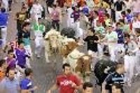 El Partido Animalista (PACMA) asegura que en los encierros taurinos "existe maltrato" aunque parezca que no