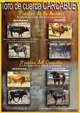 Cartel Del Toro De Cuerda De Carcabuey