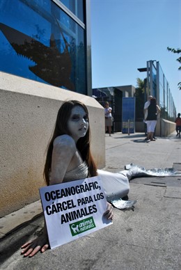 Activista Disfrazada De Sirena A Las Puertas De L'oceanogràfic