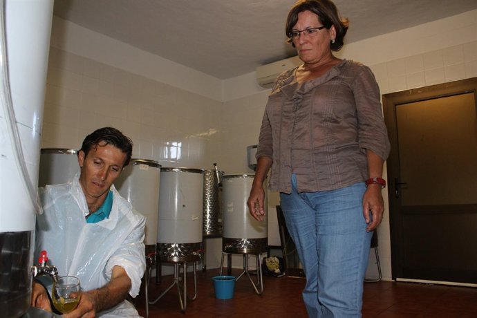 Un Trabajador De La Almazara De Pozo Negro Obtiene Aceite De Oliva