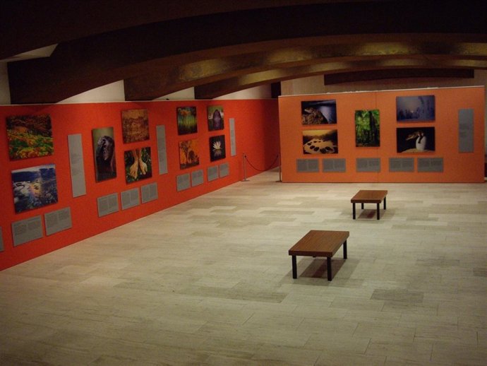 Exposición