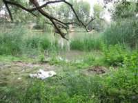 Una testigo persiguió al chico con el bebé pero no consiguieron alcanzarle