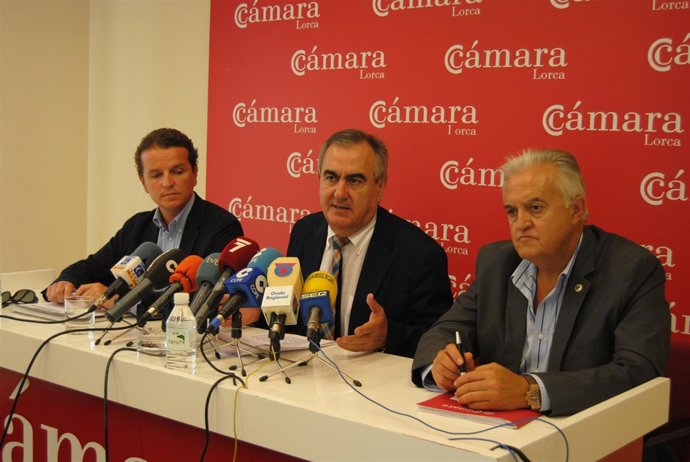 El Delegado Del Gobierno En El Centro