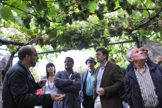El Conselleiro De Medio Rural, Samuel Juárez