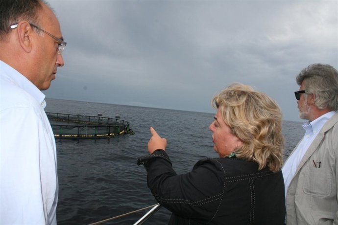 Aguilera Contempla Una De Las Jaulas De Acuicultura En Piagua