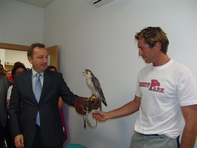 Recio Con Un Ave Rapaz En El CADE De Tabernas