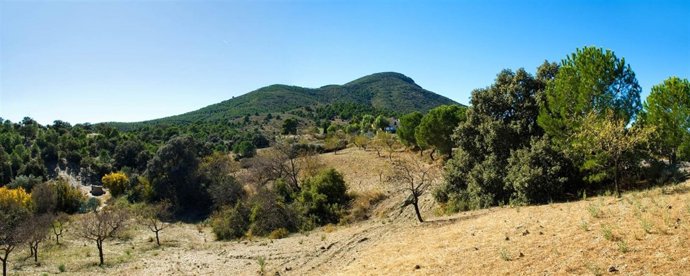 Imagen Del Cabezo De La Jara