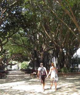 Una Pareja Pasea Por Un Parque De Alicante