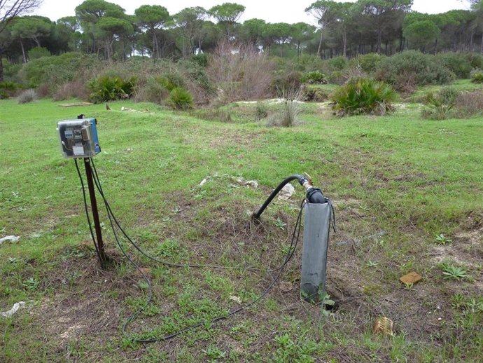 Pozo En Zona Forestal Situado En La Cabecera Del Arroyo De La Rocina.
