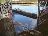 Mariscadores de la Ría do Burgo denuncian un vertido de aguas fecales y la Cofradía de A Coruña exige información