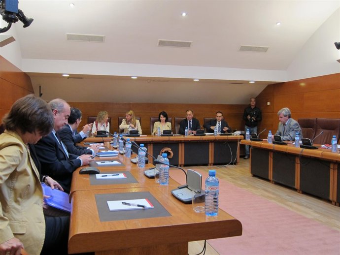 Comparecencia De Cristina Mazas