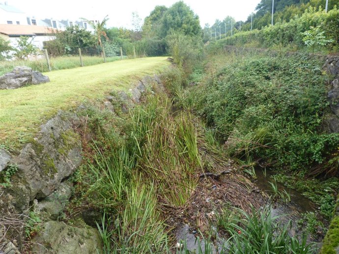 Maleza En El Cauce De Un Río En Torrelavega 
