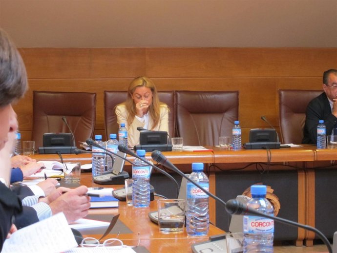 Cristina Mazas En La Comparecencia