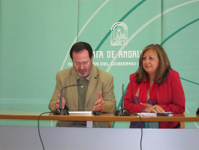 Alhambra Pide Prudencia Sobre La Inscripción Del Palacio Carlos V