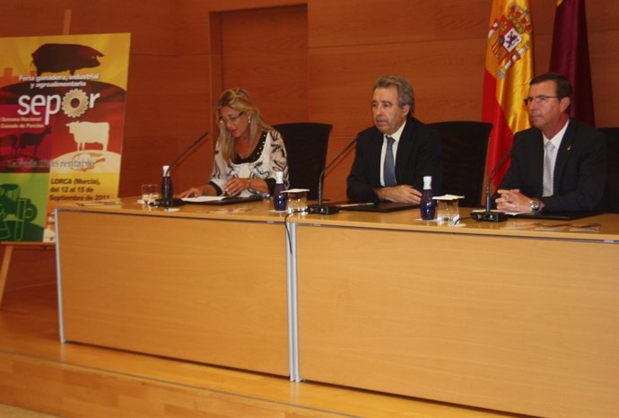 Bermúdez, Cerdá Y Montiel