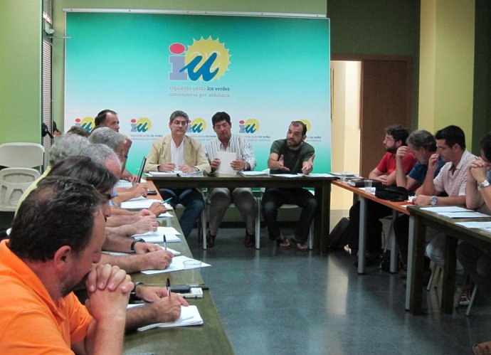 Momento En La Reunión De Hoy De La Comisión De Organización De IULV-CA