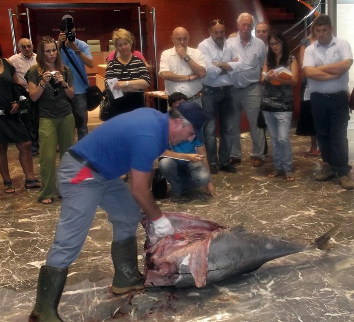 'Ronqueo' De Atún En La Presentación Del X Encuentro De Capitanes De Almadraba.
