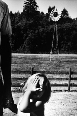 Una Fotografía De La Muestra