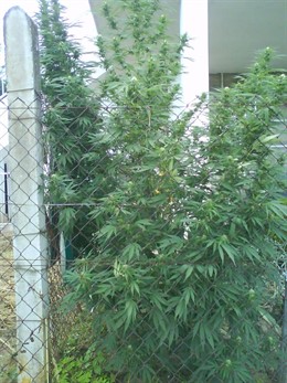 RDO NOVEDADES DÍA 6 DE SEPTIEMBRE