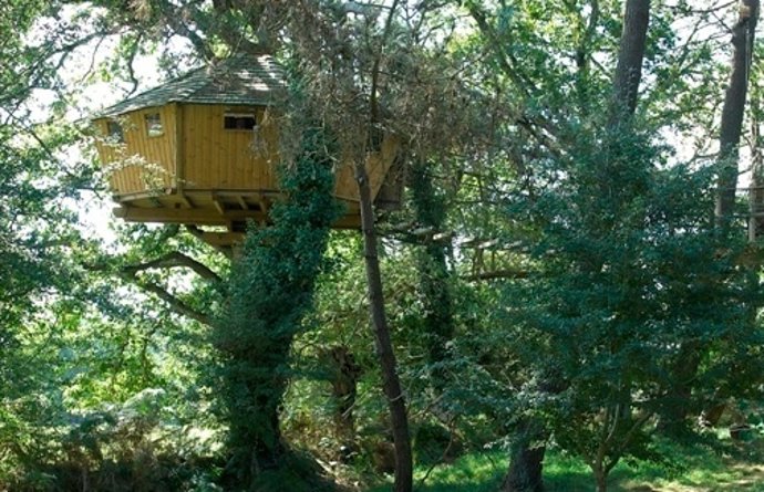Alojamiento Turístico En Casa Árbol