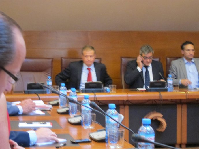 Arasti En La Comparecencia