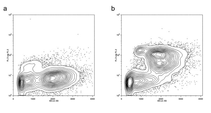 Vinculan El Mal Control En Los Diabéticos Con El Mayor Riesgo De Infecciones