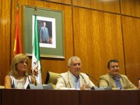 Arenas considera que "cada minuto que pasa" Griñán y el caso de los ERE están "más unidos"