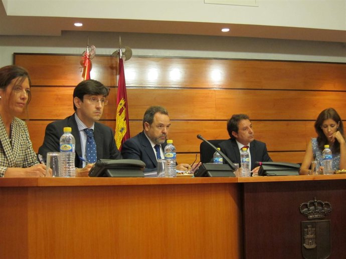 Labrador En La Comisión De Las Cortes