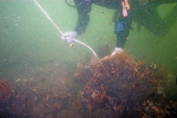 Prospecciones En Rande 