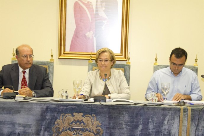 La Presidenta De La Diputación, Petronila Guerrero, Durante Un Pleno