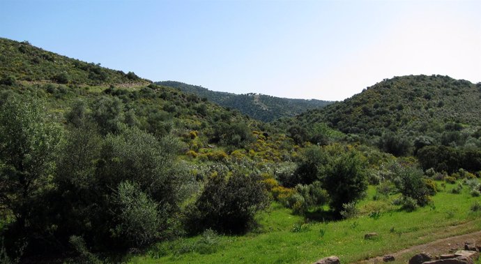 Imagen de parque natural en Andalucía