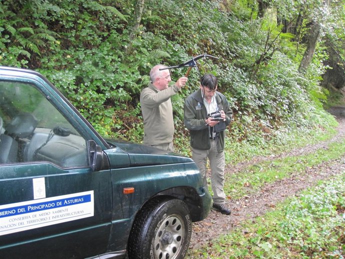 Equipo De Seguimiento De Osos