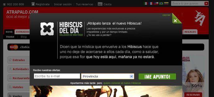 'Hibiscus' De Atrapalo.Com