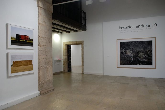 Becas Endesa Para Las Artes Plásticas