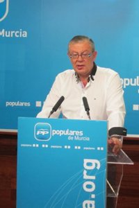 Ruiz Vivo pide al PSRM "que se mire en el espejo del 'Plan Lorca' de Valcárcel y del 'Plan Galicia' de Rajoy"