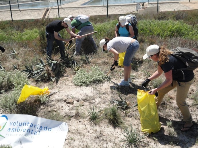 Voluntarios De SABIC En La Limpieza Y Preservación Del Parque Regional