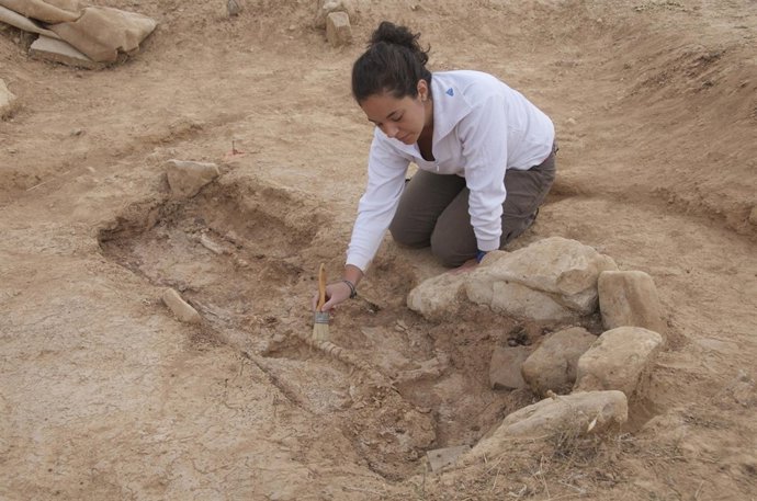 Imagen De Uno De Los Enterramientos Tardoimperiales De Segeda