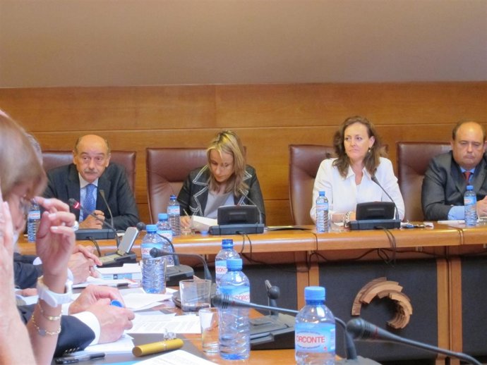 La Consejera De Ganadería En Su Comparecencia