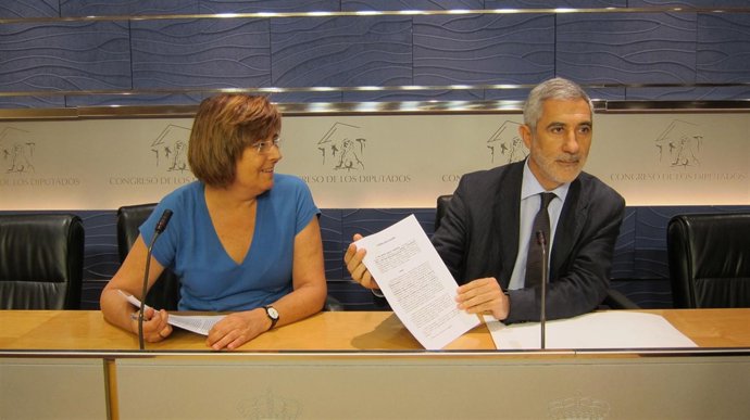 Llamazares Y Buenaventura Presentan El Recurso Al TC