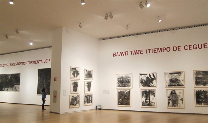 Retrospectida De Los Dibujos De Robert Morris En El IVAM