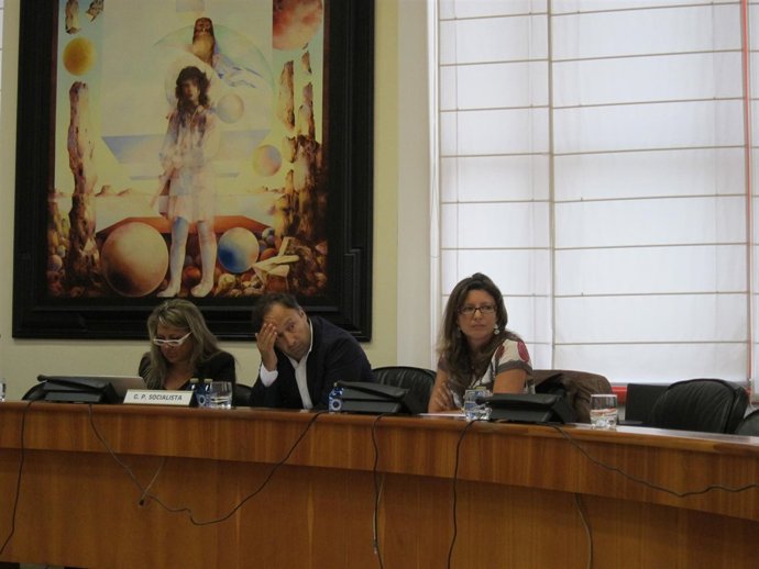 Comisión Institucional