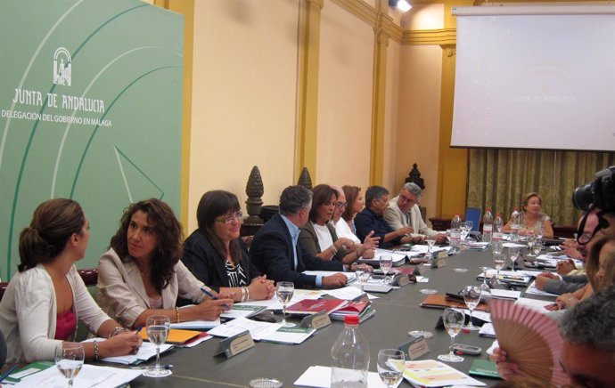 Reunión Del Consejo De Dirección De Cultura En Málaga