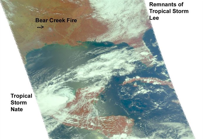 Tromenta Tropical Nate