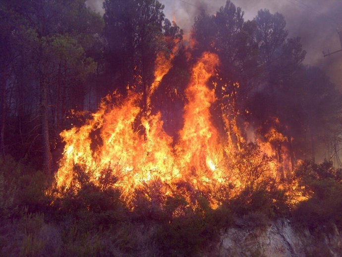 Incendio En Cortes De Pallás